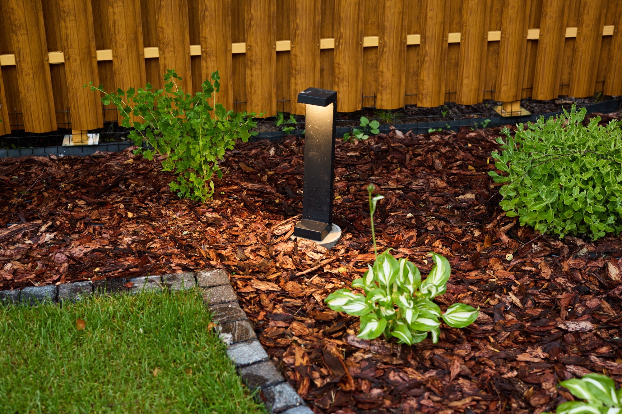 Discover the beauty of Elegant Garden Lighting showcased in a beautifully Landscaped Yard