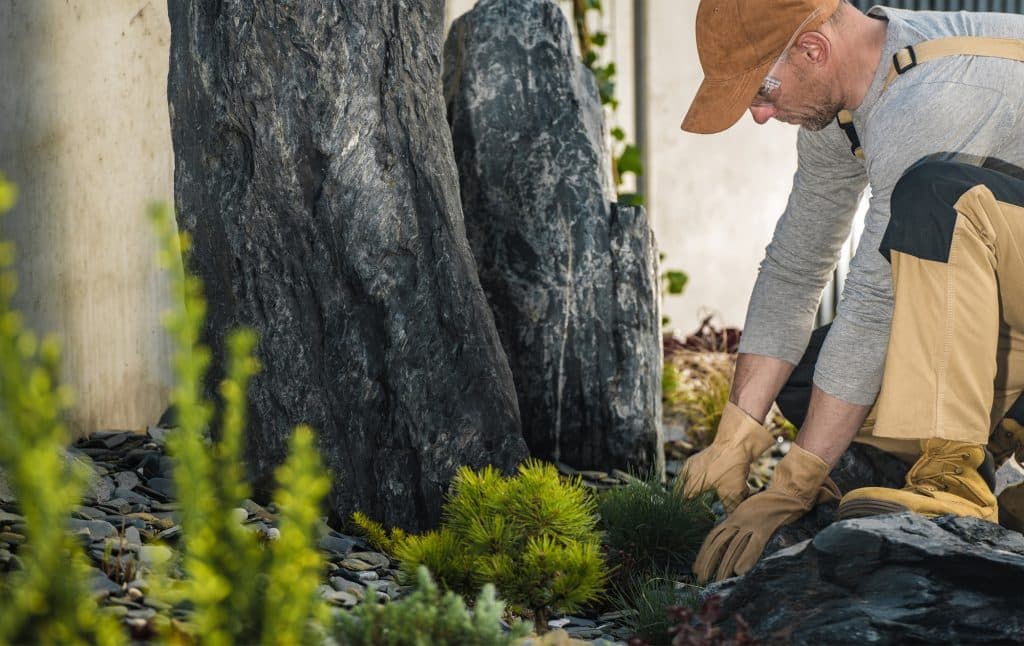 Pro Landscaper Planting Small Decorative Plants in a Rockery Garden